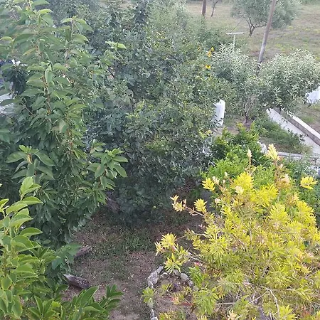 Matusanka Gostinjska kuća Banjol
