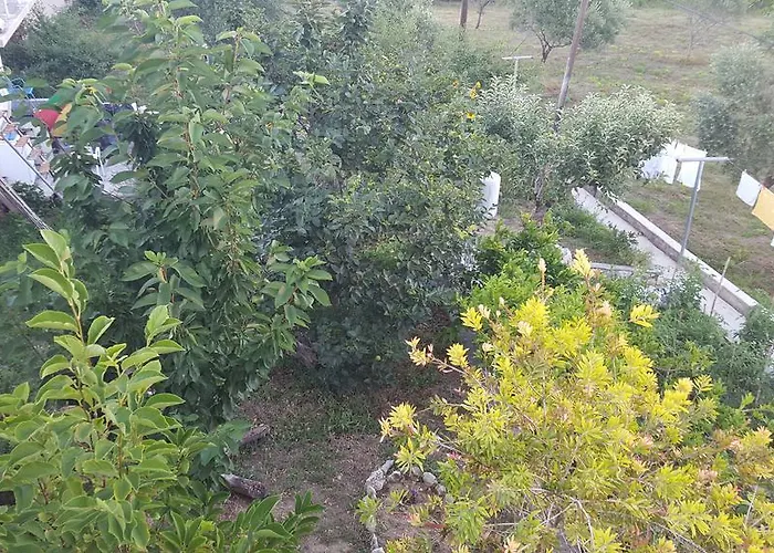 Matusanka ゲストハウス Banjol